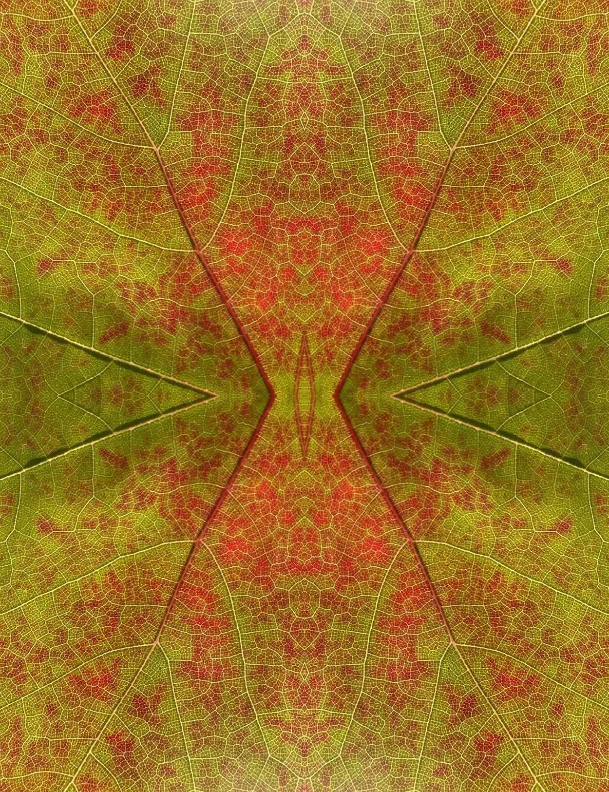 © LEAVES COMPOSITION No.70