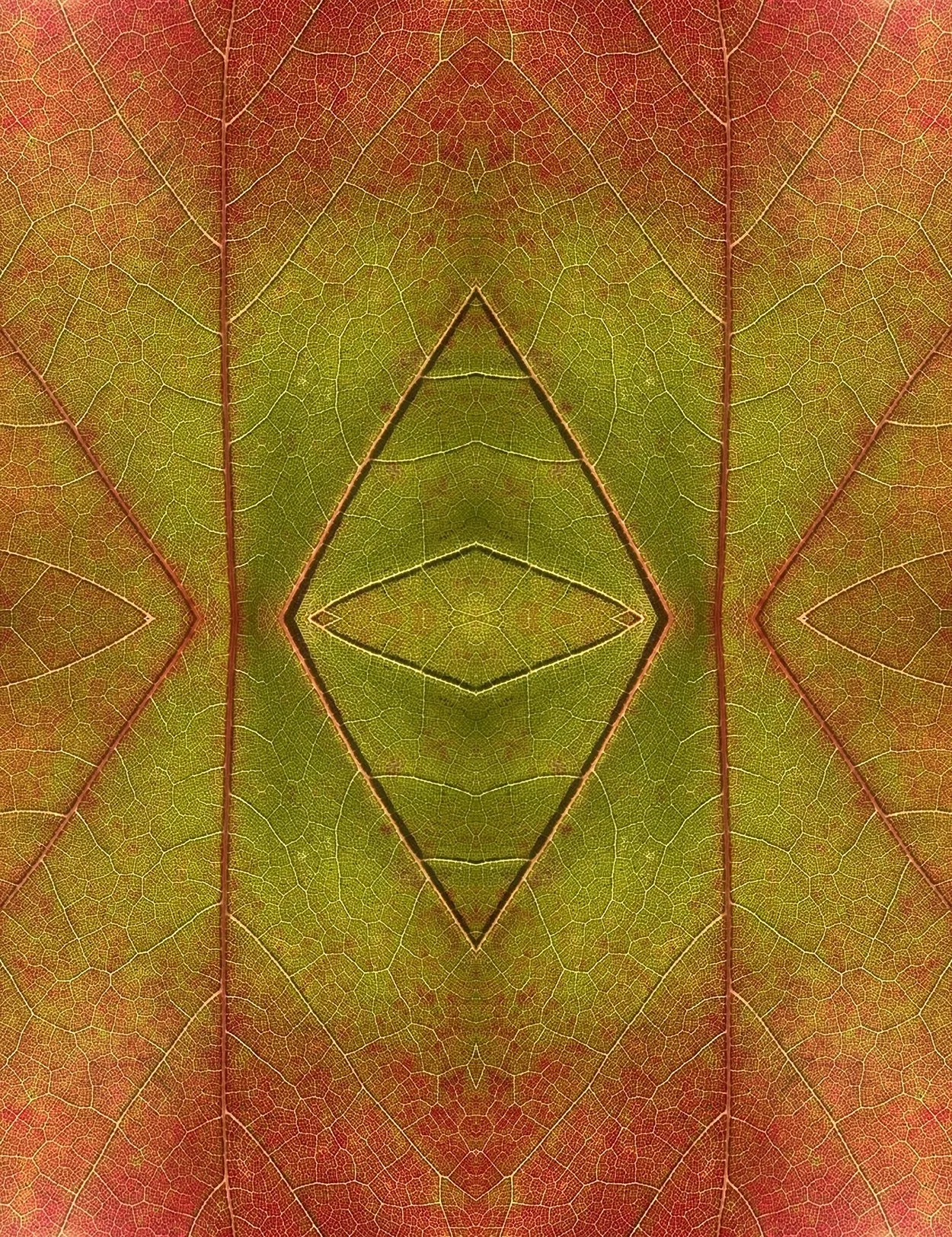 © LEAVES COMPOSITION No.71