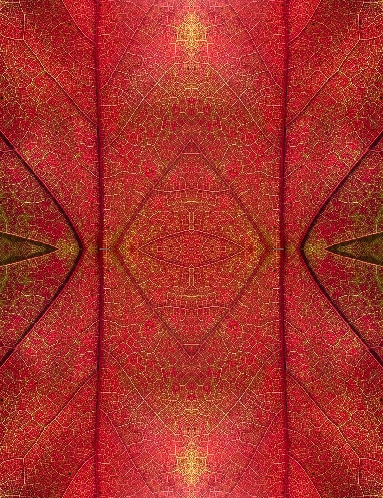 © LEAVES COMPOSITION No.72