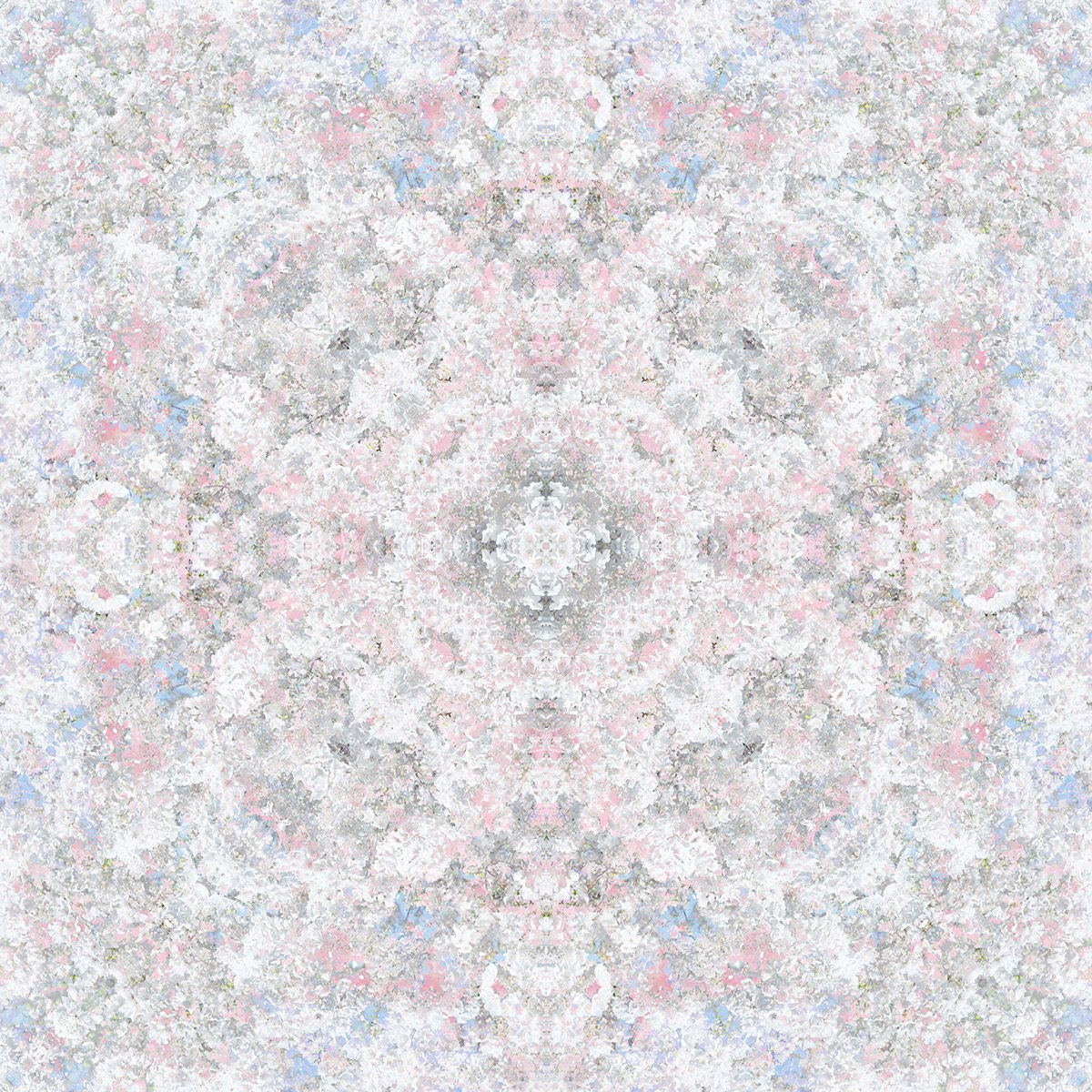 © CHERRY BLOSSOMS COMPOSITION No.705