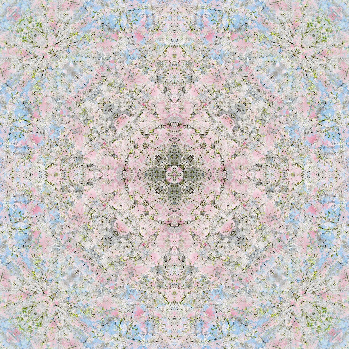 © CHERRY BLOSSOMS COMPOSITION No.703