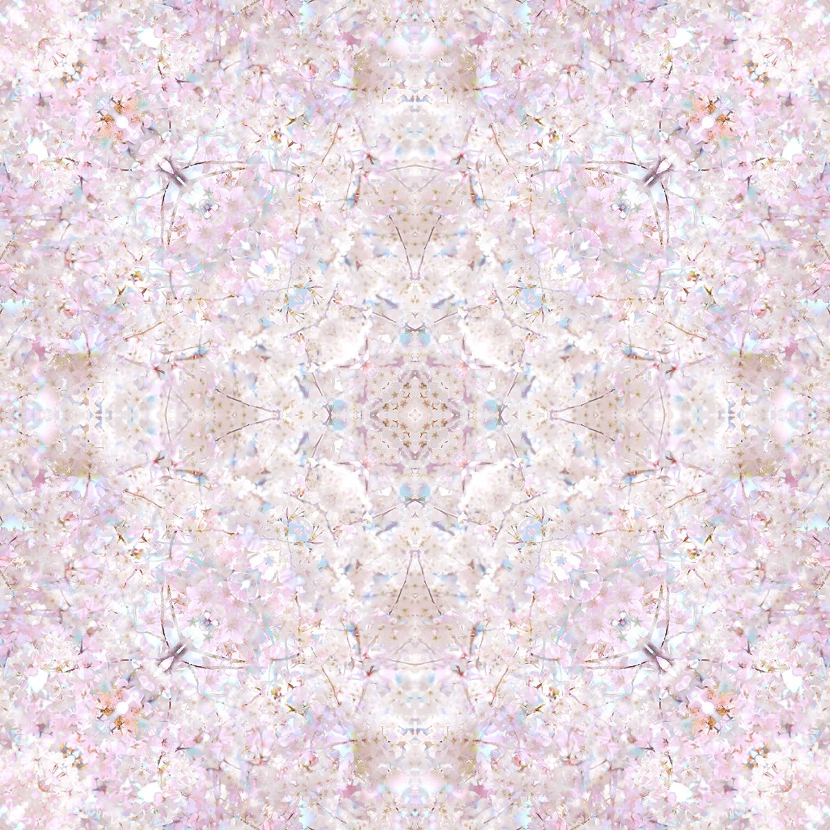 © CHERRY BLOSSOMS COMPOSITION No.702