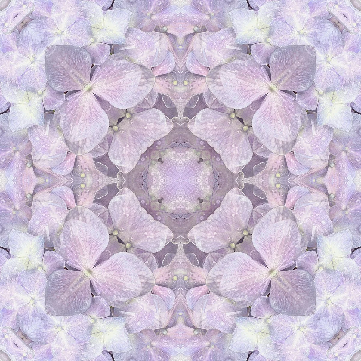 © FLOWERS COMPOSITION No.1015