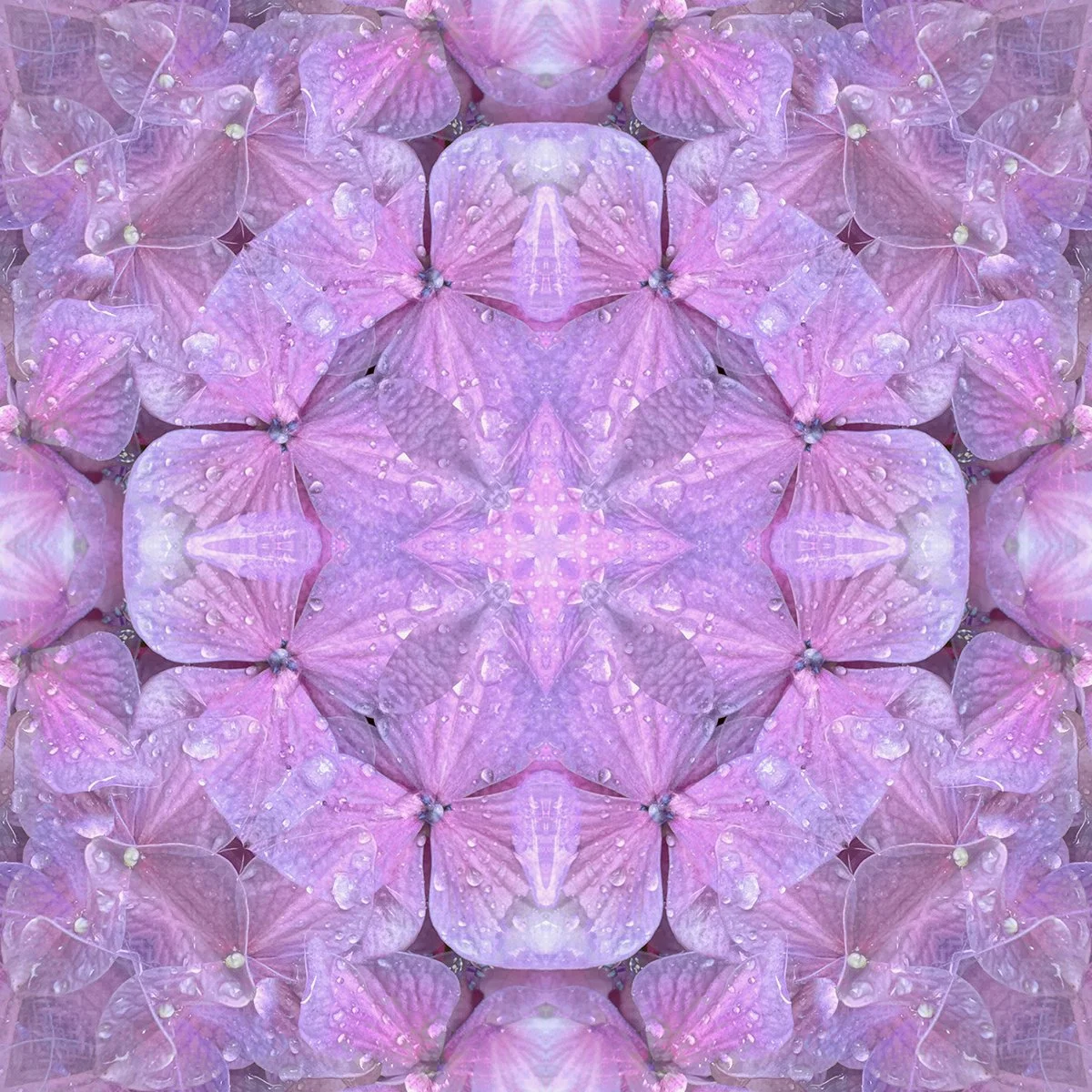 © FLOWERS COMPOSITION No.1016