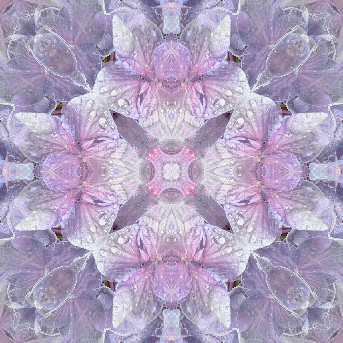 © FLOWERS COMPOSITION No.1017