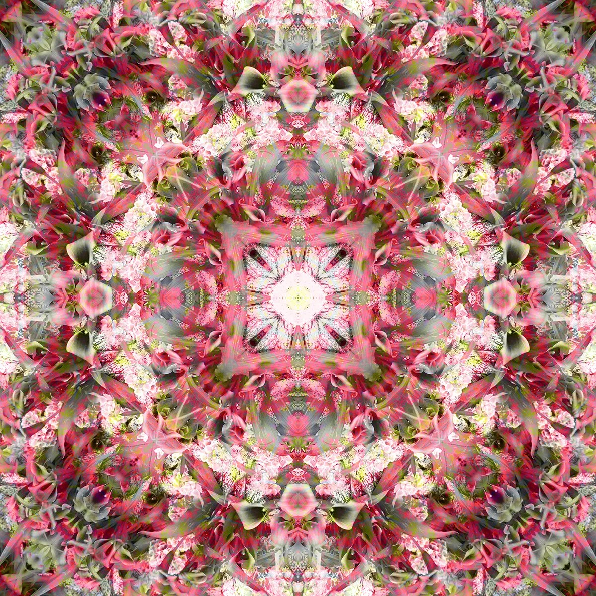 © FLOWERS COMPOSITION No.1067