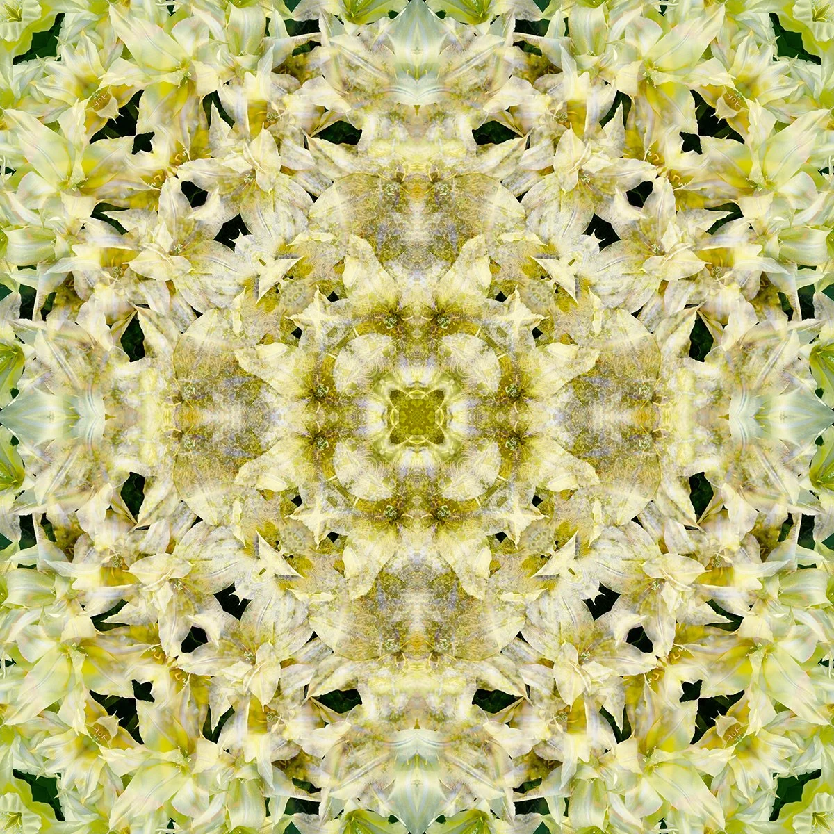 © FLOWERS COMPOSITION No.1065