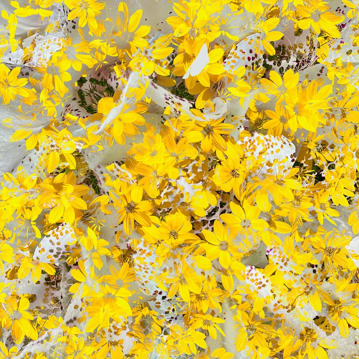 © FLOWERS COMPOSITION No.1059