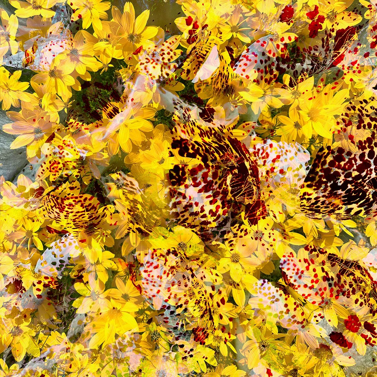 © FLOWERS COMPOSITION No.1057