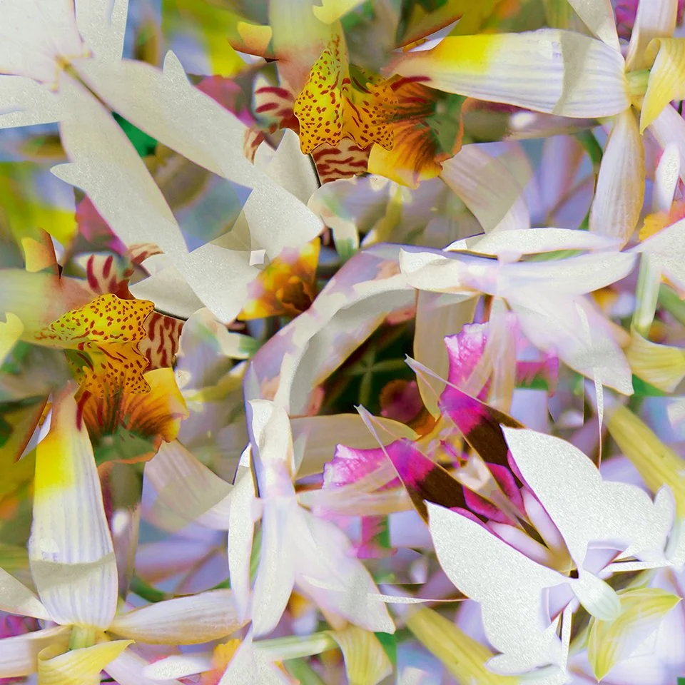© FLOWERS COMPOSITION No.1056