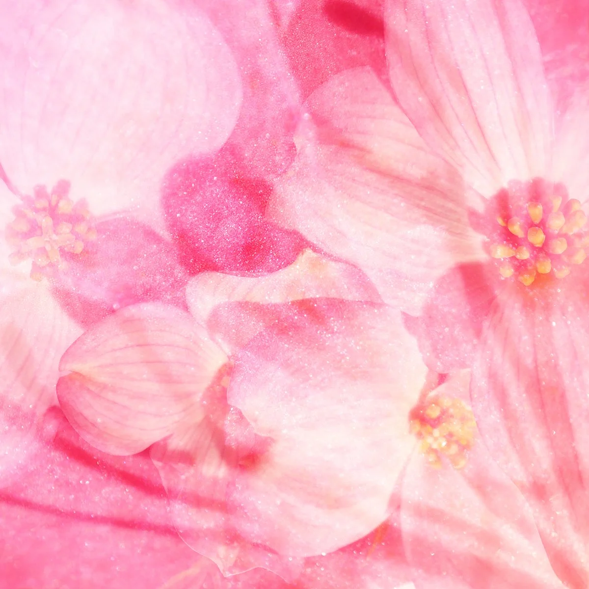 © FLOWERS COMPOSITION No.1055
