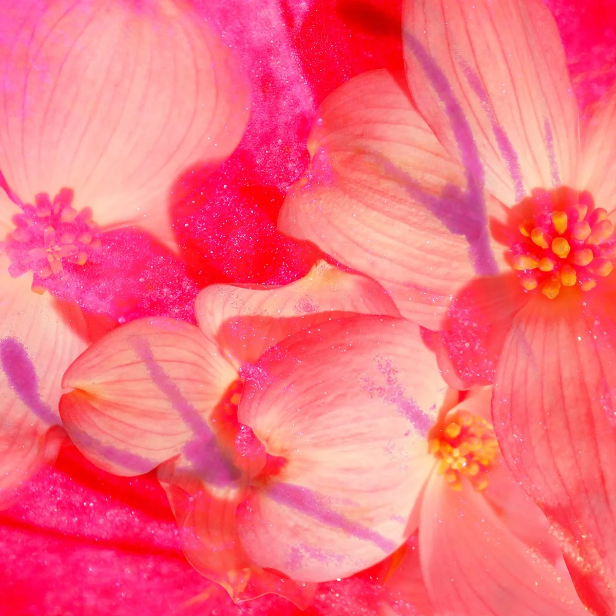 © FLOWERS COMPOSITION No.1054