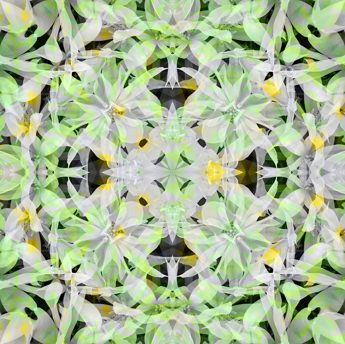 © FLOWERS COMPOSITION No.1051