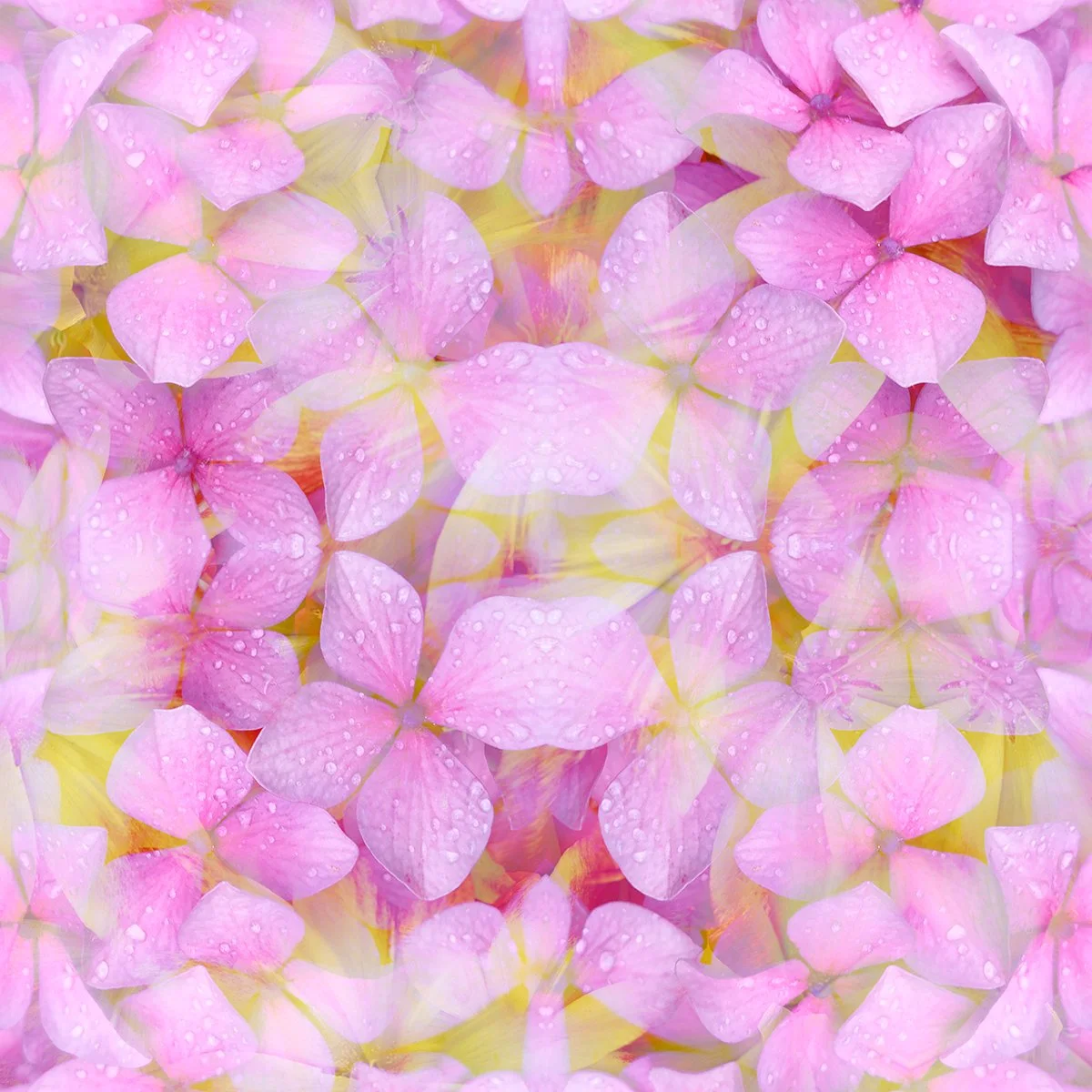 © FLOWERS COMPOSITION No.1047