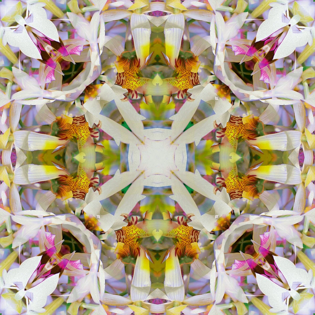 © FLOWERS COMPOSITION No.1046