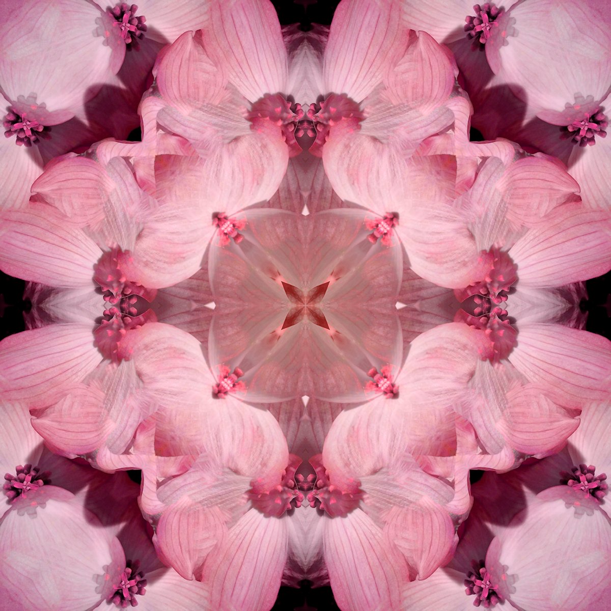 © FLOWERS COMPOSITION No.1041