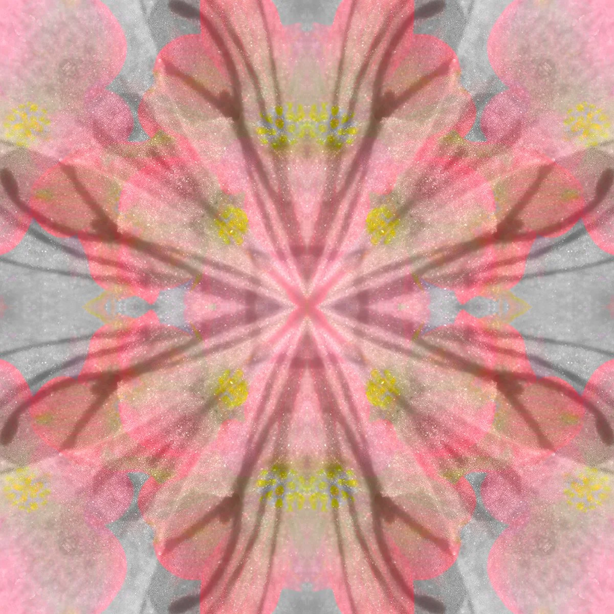 © FLOWERS COMPOSITION No.1040