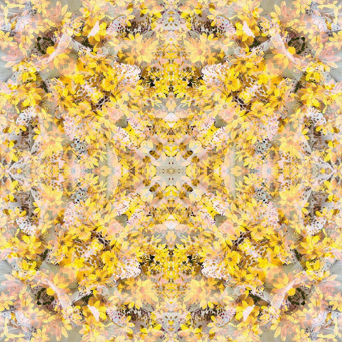 © FLOWERS COMPOSITION No.1037