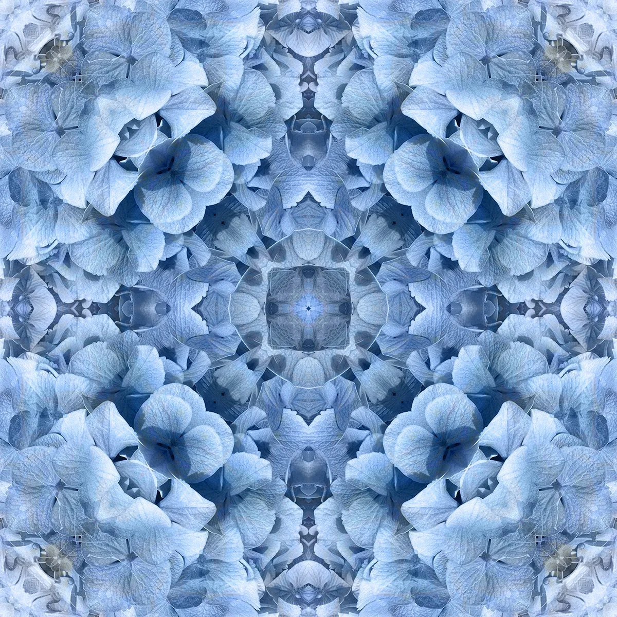 © FLOWERS COMPOSITION No.1024