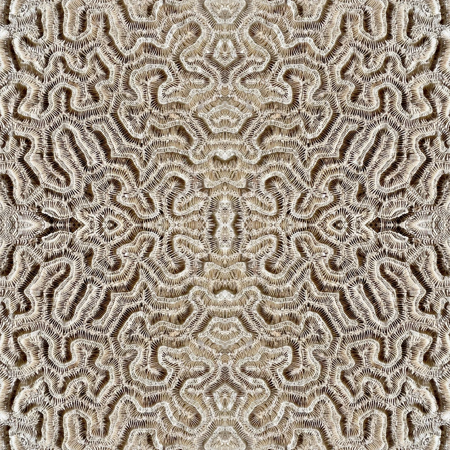 © ROCKS COMPOSITION No.494