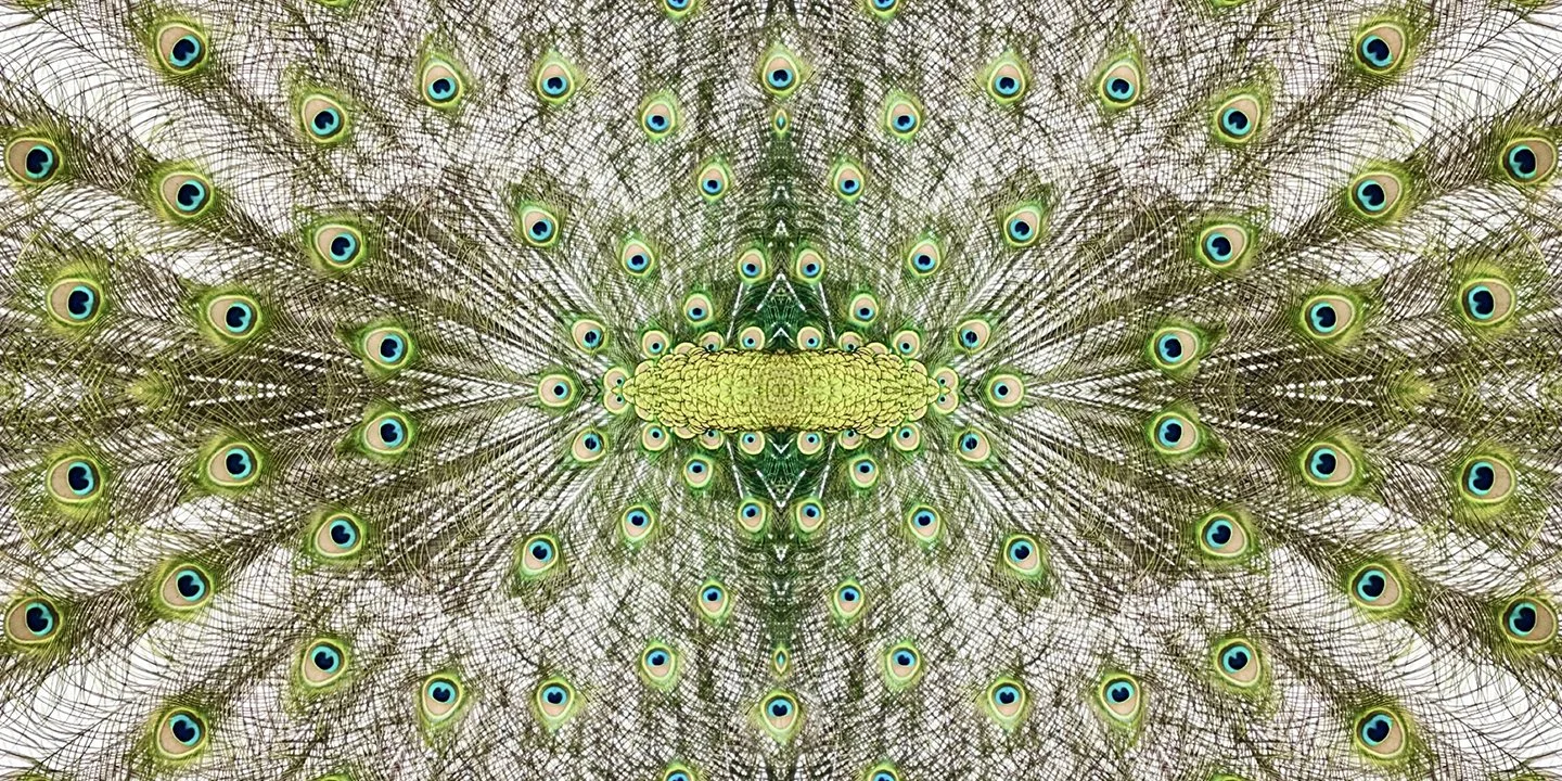 © PEACOCK COMPOSITION No.5