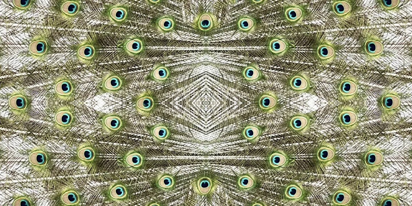 © PEACOCK COMPOSITION No.6