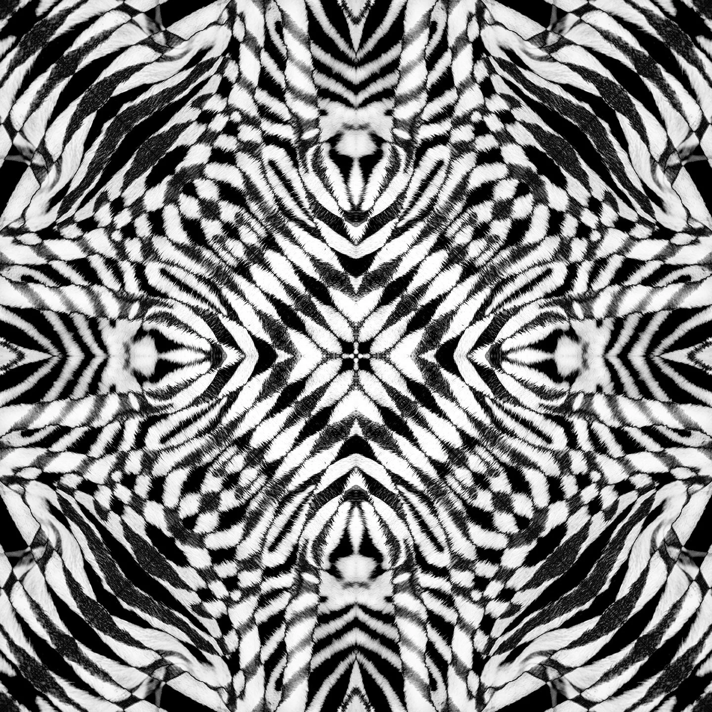 © ZEBRA COMPOSITION No.550