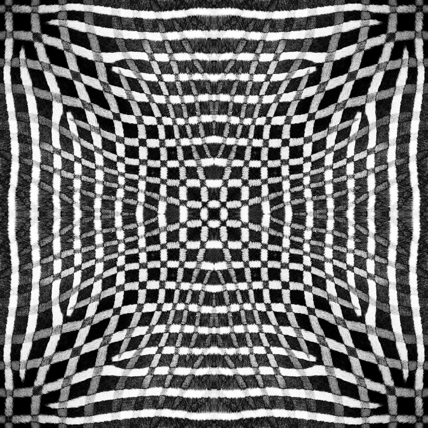 © ZEBRA COMPOSITION No.522