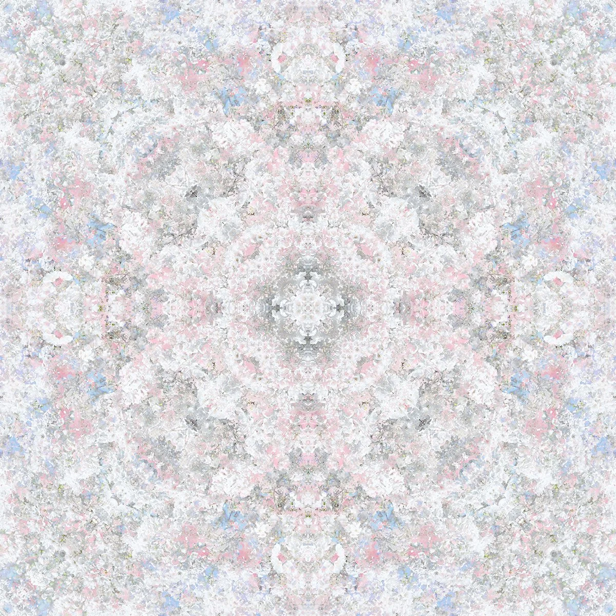 © CHERRY BLOSSOMS COMPOSITION No.705