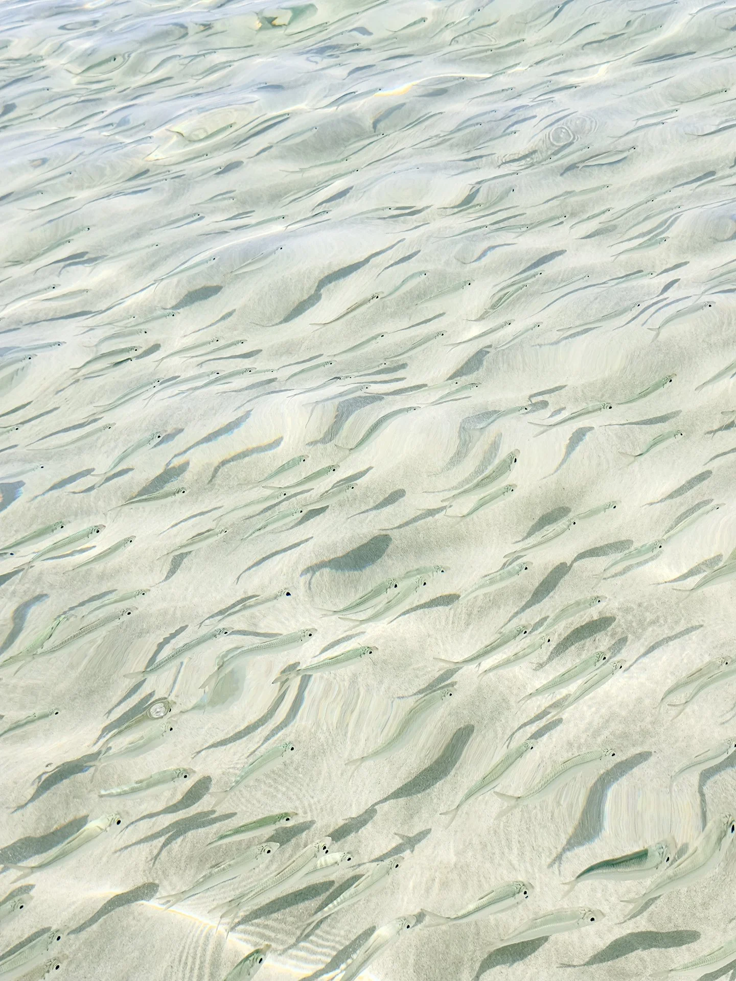 © WATER COMPOSITION No.357