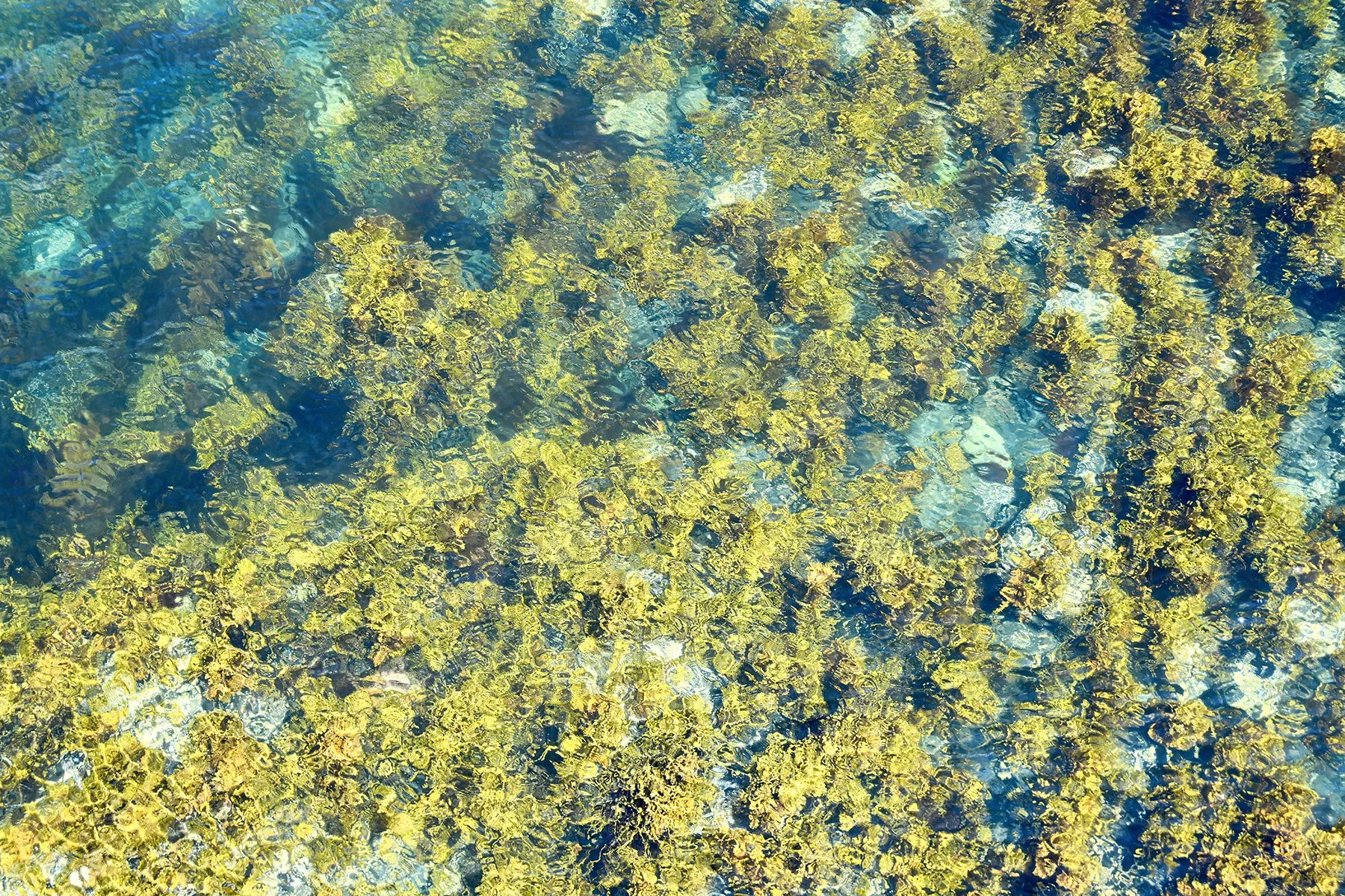 © WATER COMPOSITION No.379
