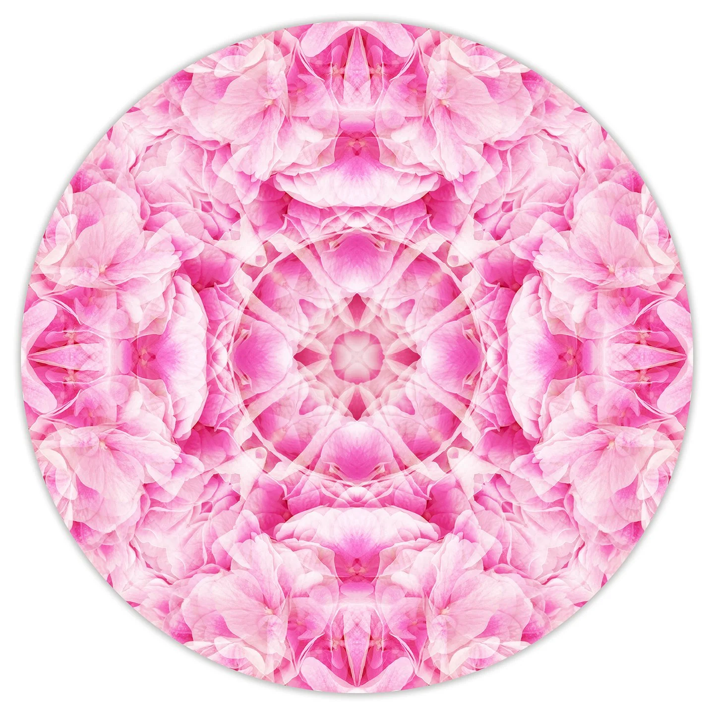 © FLOWERS COMPOSITION No.137