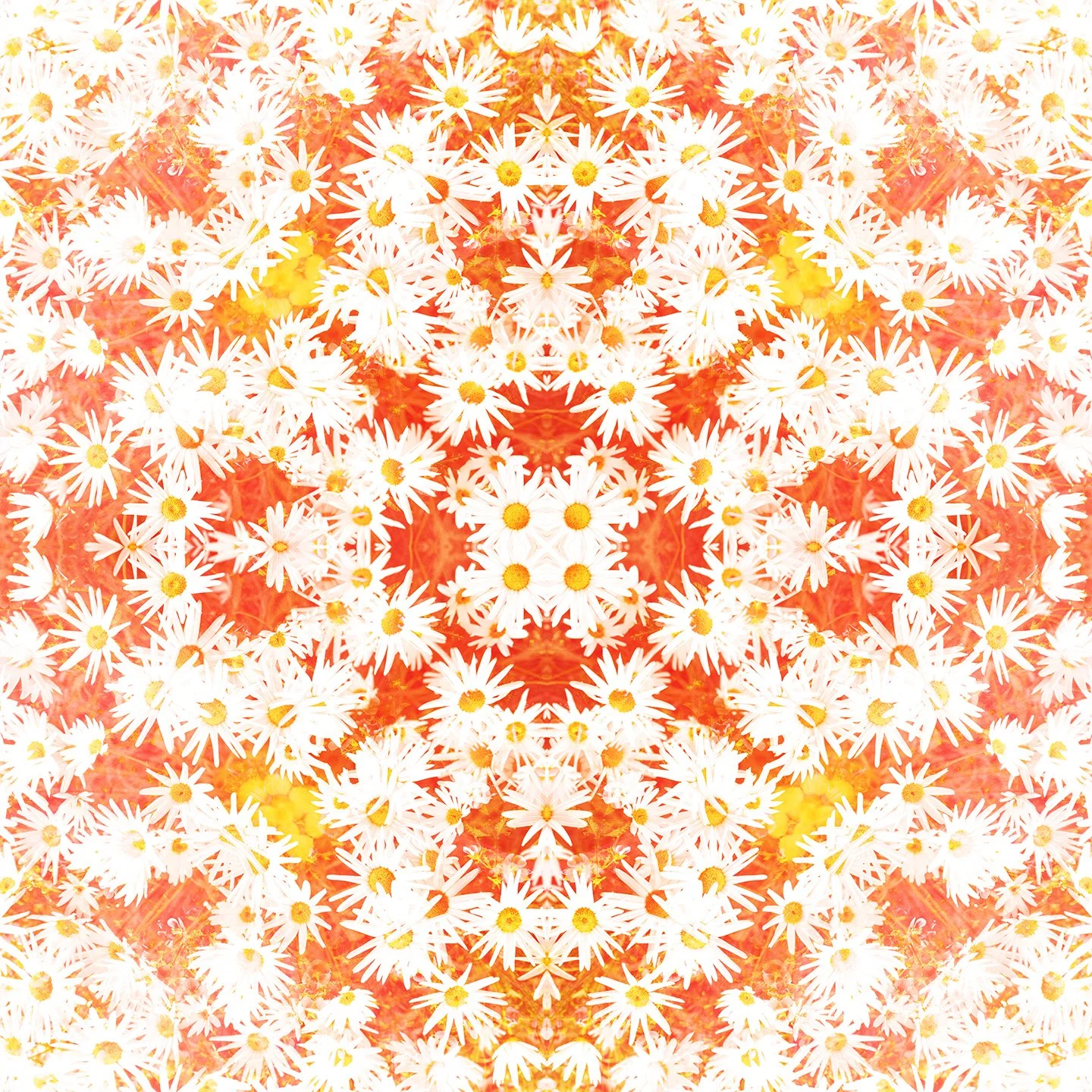 © FLOWERS COMPOSITION No.1077