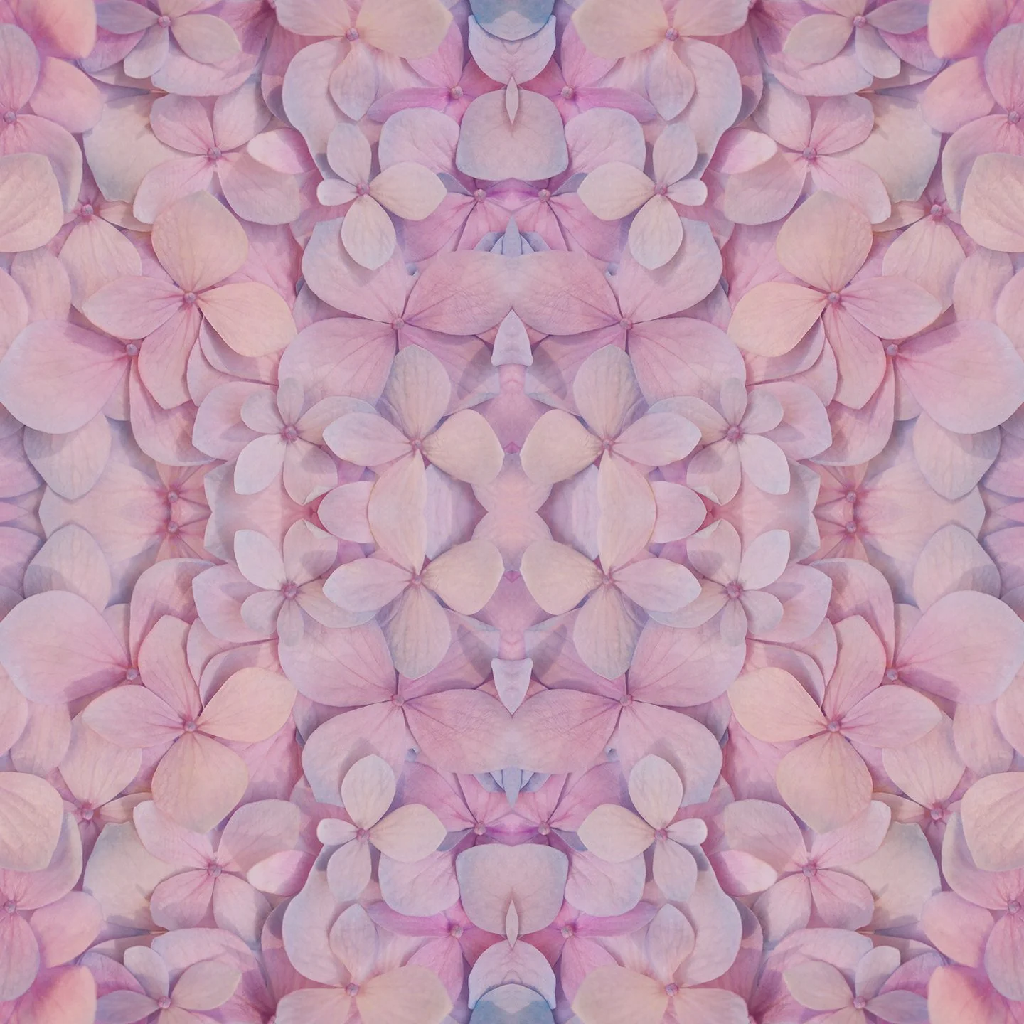 © FLOWERS COMPOSITION No.130