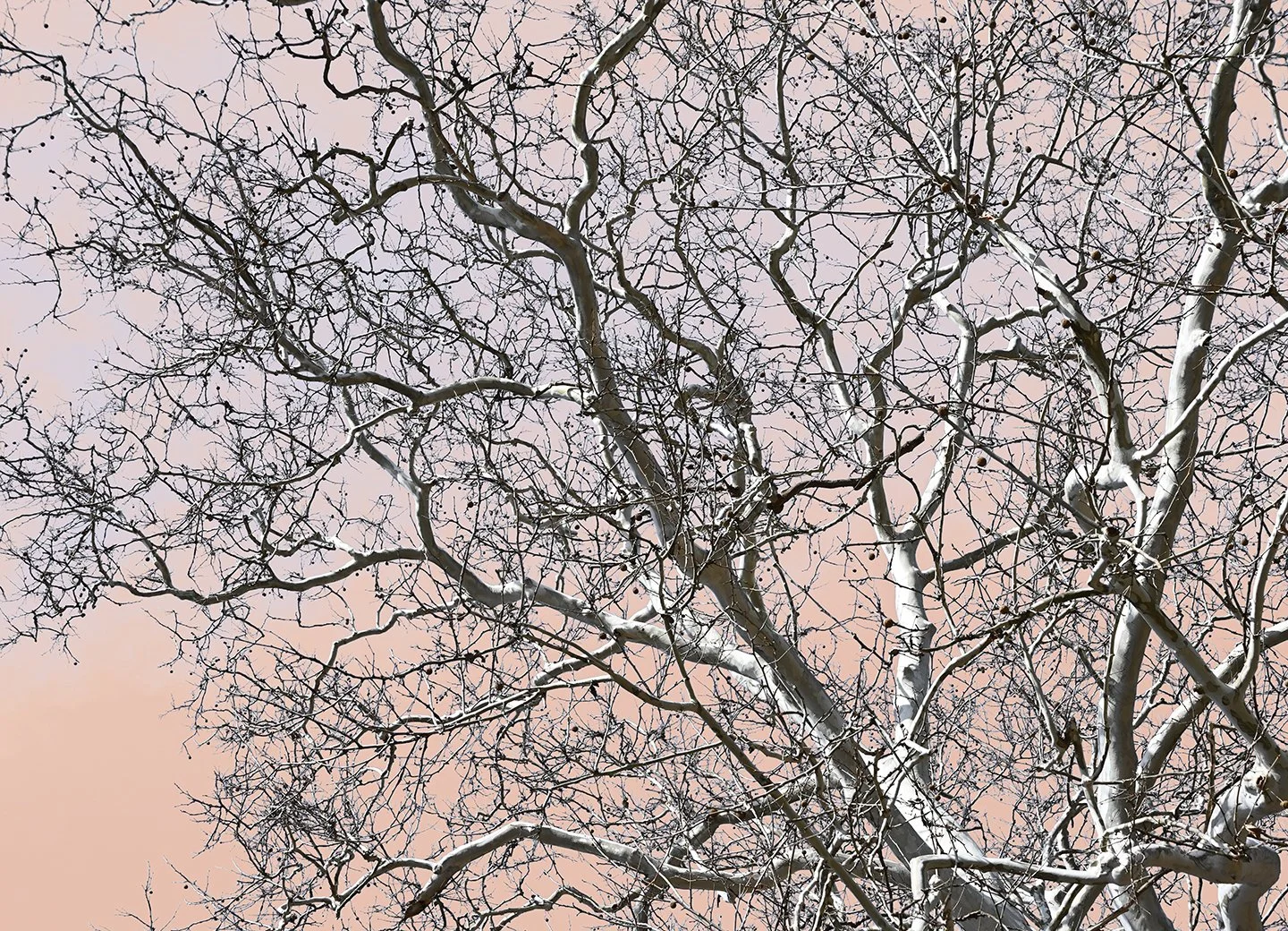  ABSTRACT PHOTOGRAPHY / 46 in x 364 in  Limited edition artwork, signed, numbered, and stamped with the artist's signature. Offered in custom sizes, framed or unframed (print only). Printed on high-quality Epson Photo Luster Premium Paper, or Dye Sub