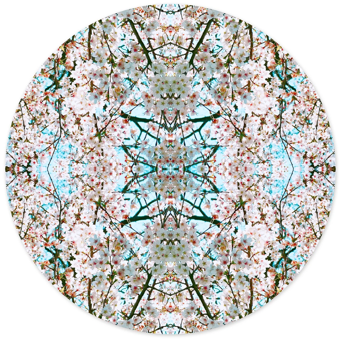 © CHERRY BLOSSOMS COMPOSITION No.683