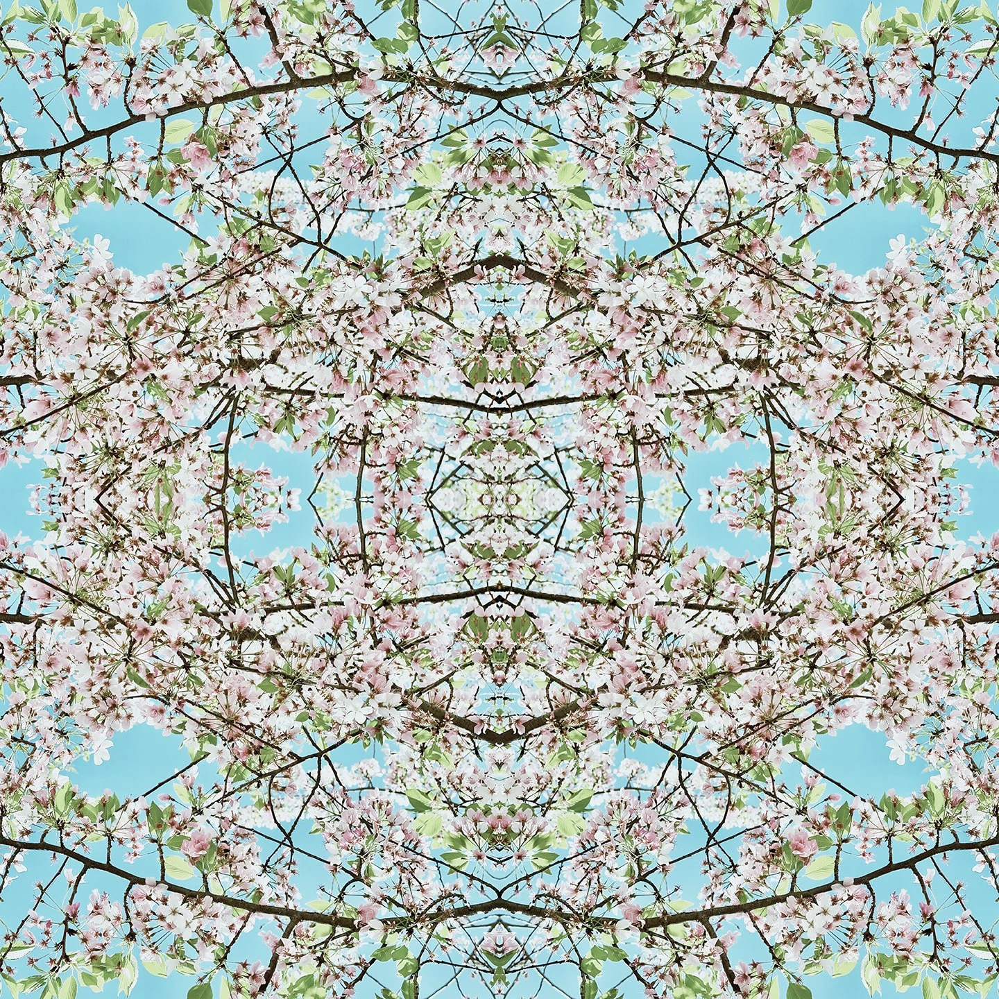 © CHERRY BLOSSOMS COMPOSITION No.681