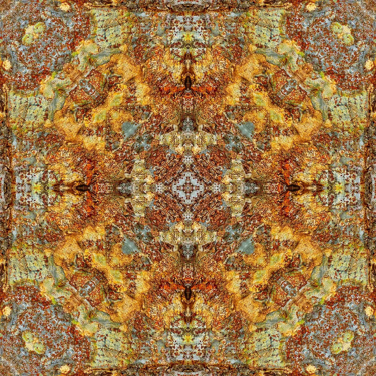 © TREE BARK COMPOSITION No.12