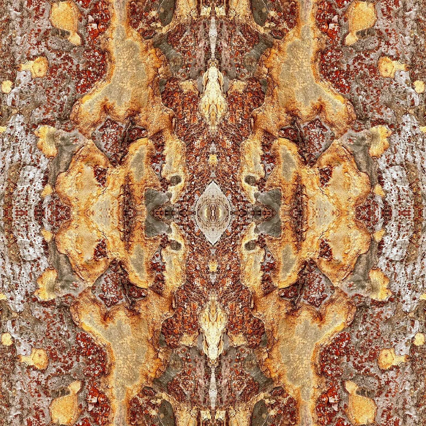 © TREE BARK COMPOSITION No.16