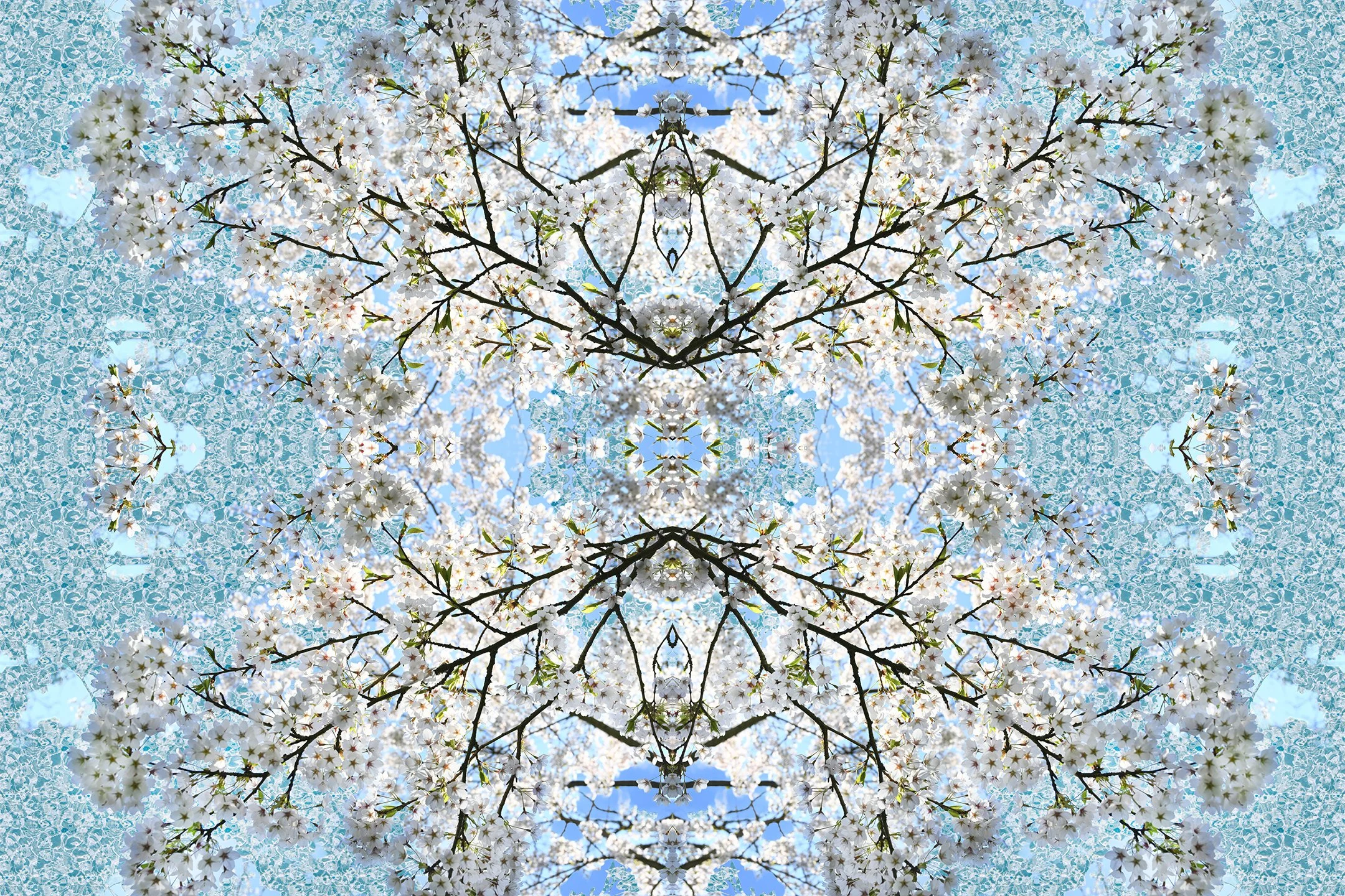 © CHERRY BLOSSOMS COMPOSITION No.715