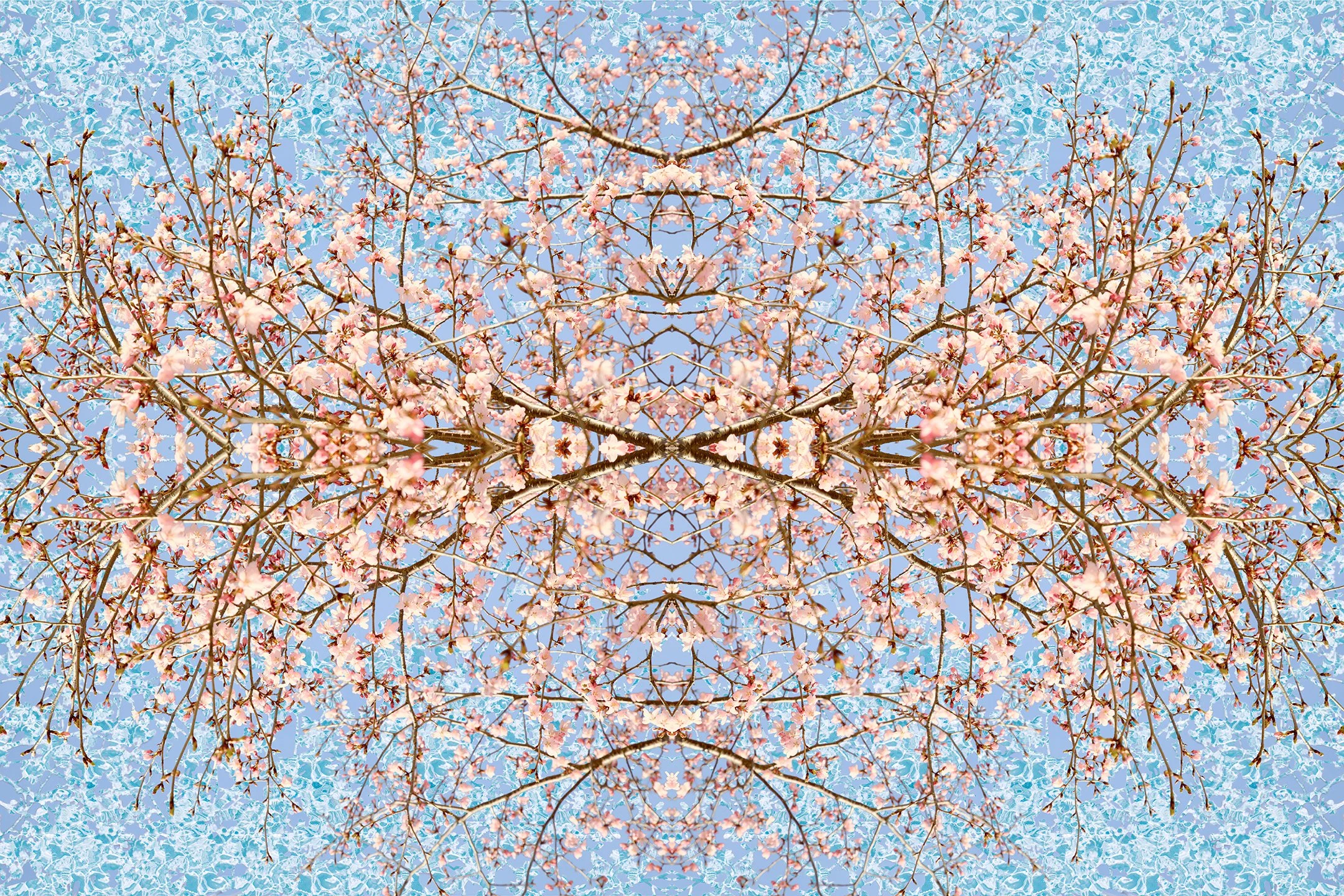 © CHERRY BLOSSOMS COMPOSITION No.717