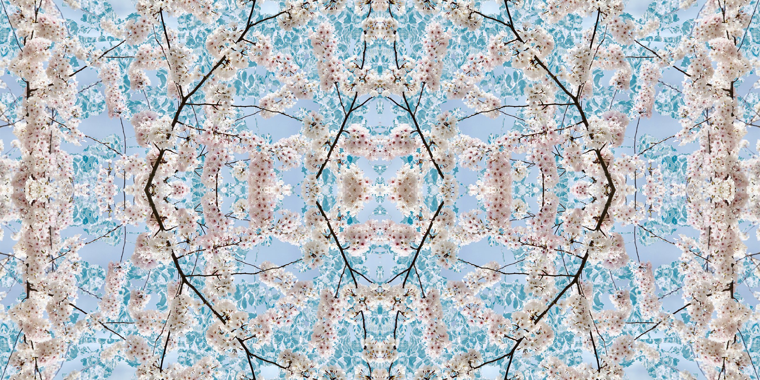 © CHERRY BLOSSOMS COMPOSITION No.716