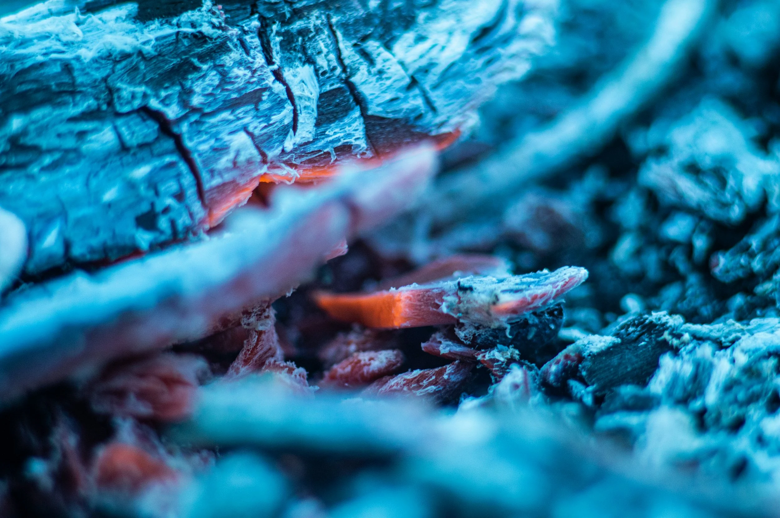 How Stress Fuels Inflammation - and Why That Matters for Your Mental Health