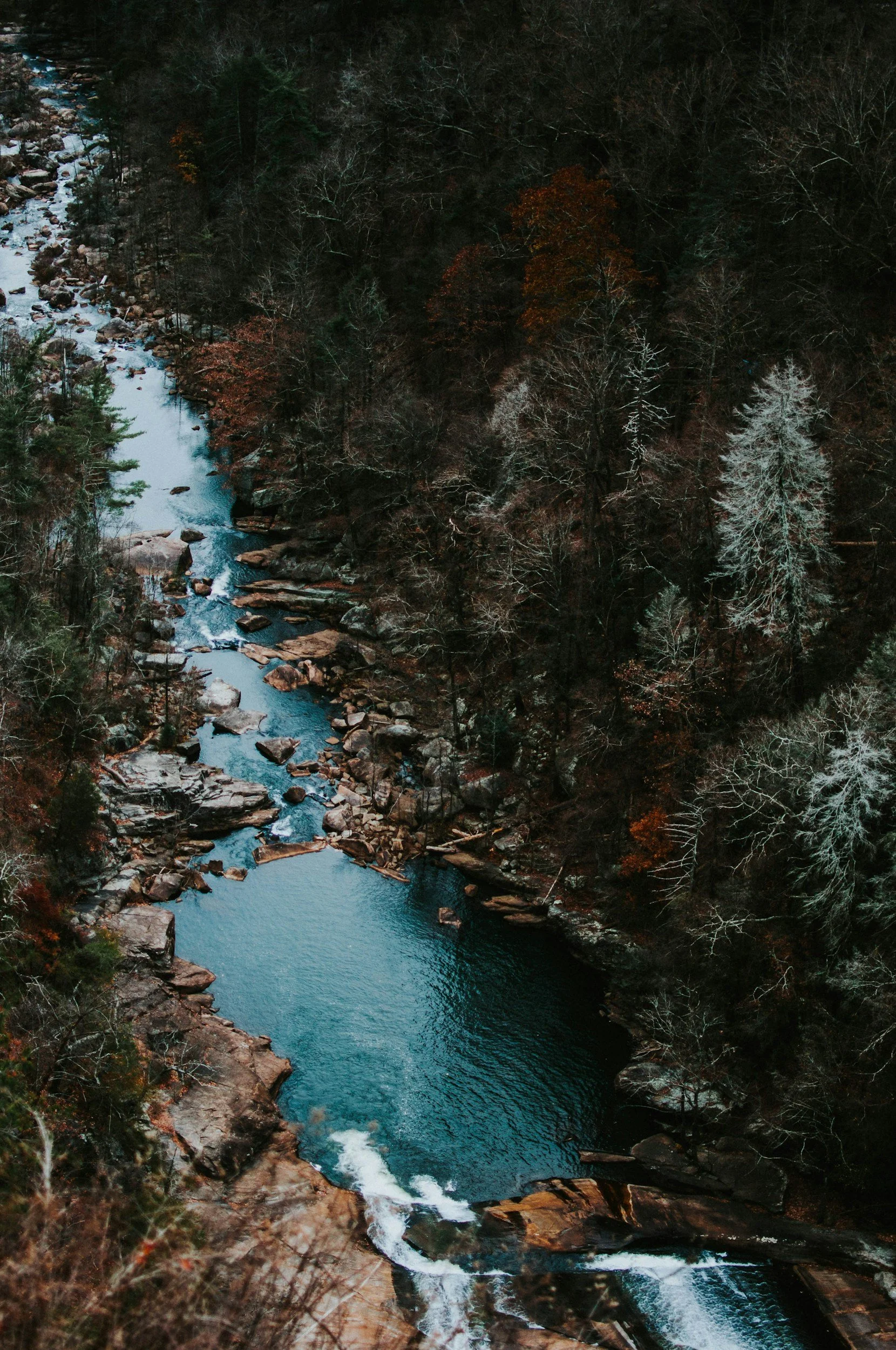 When Things Are at Their Worst, Notice What Comes to the Surface