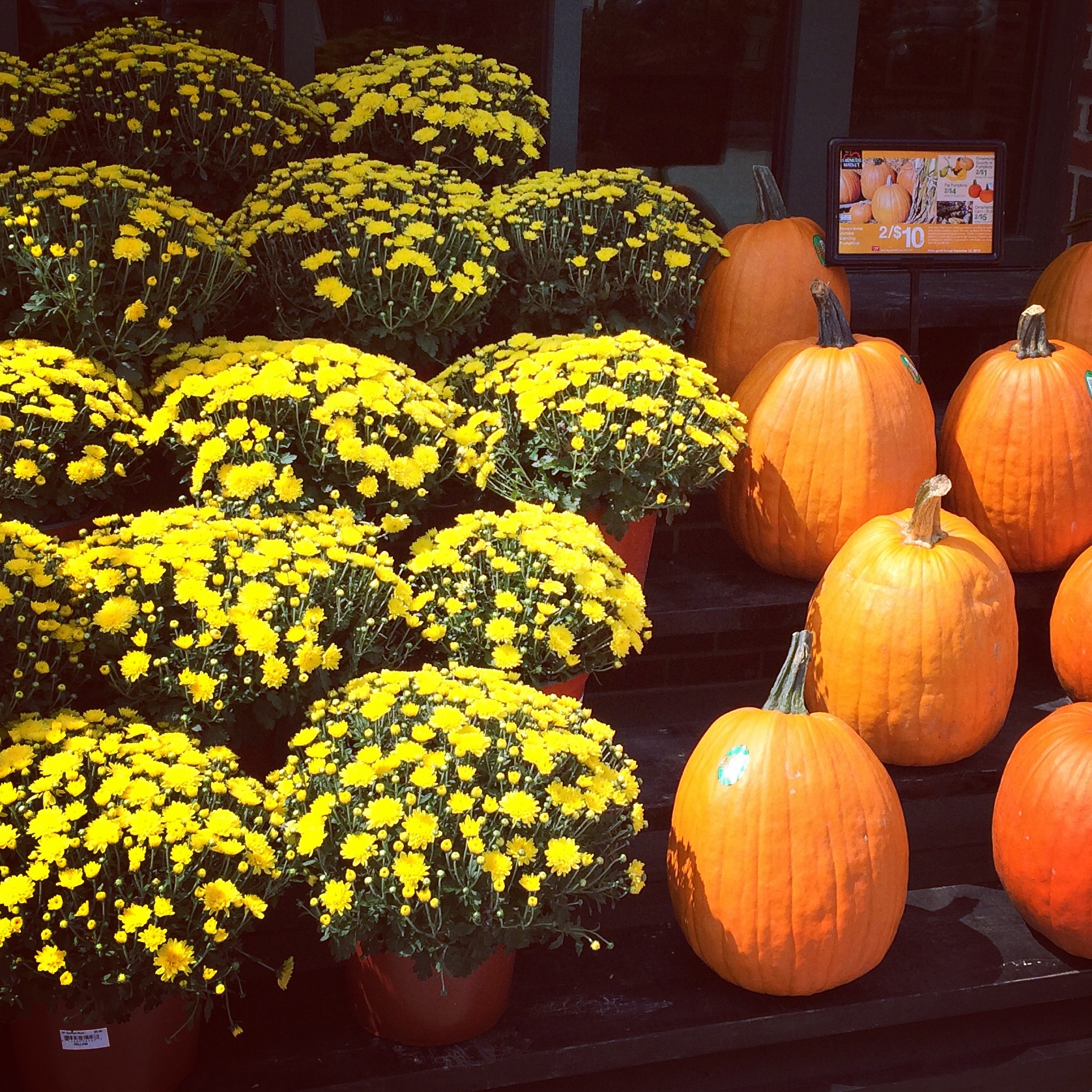 I'm so excited for Fall!