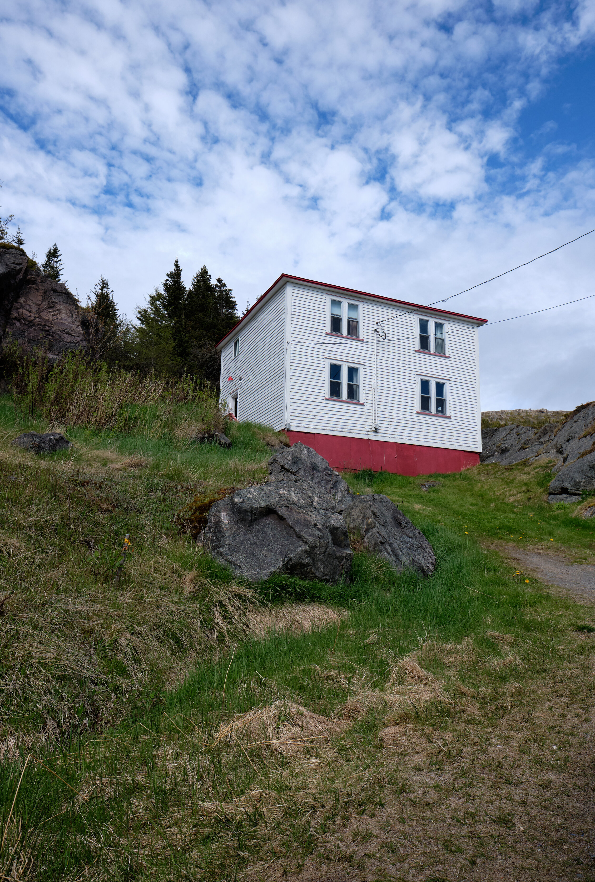 newfoundland 8.jpg