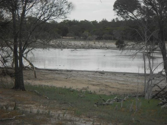 Beaufort River.jpg