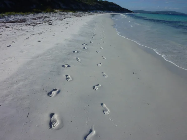 Copy+(2)+of+footprints+in+the+sand.jpg