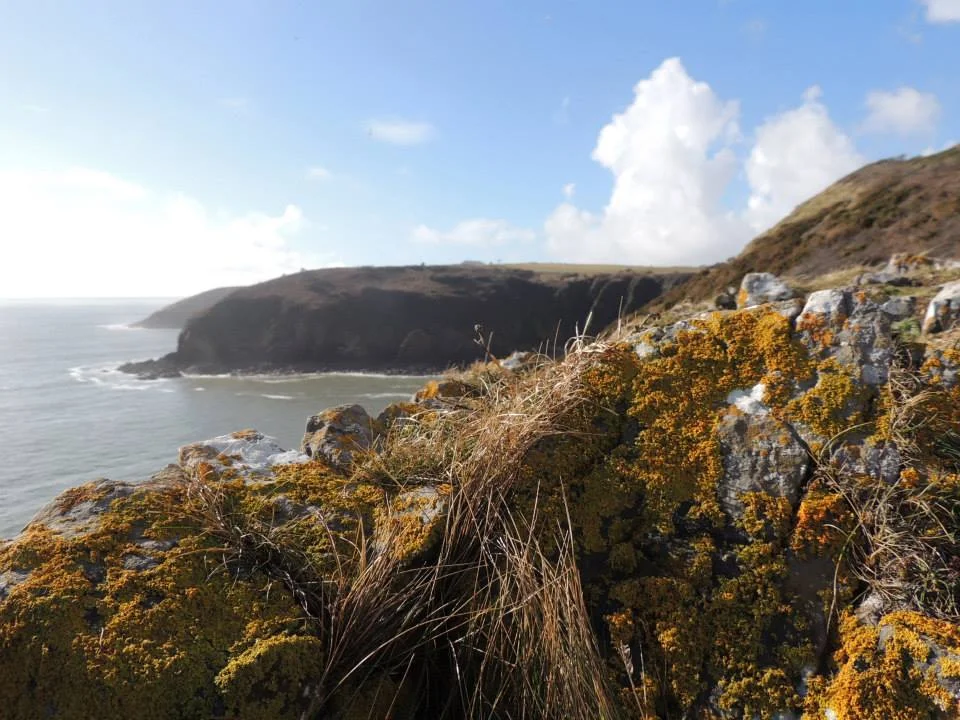 Stockpole Head