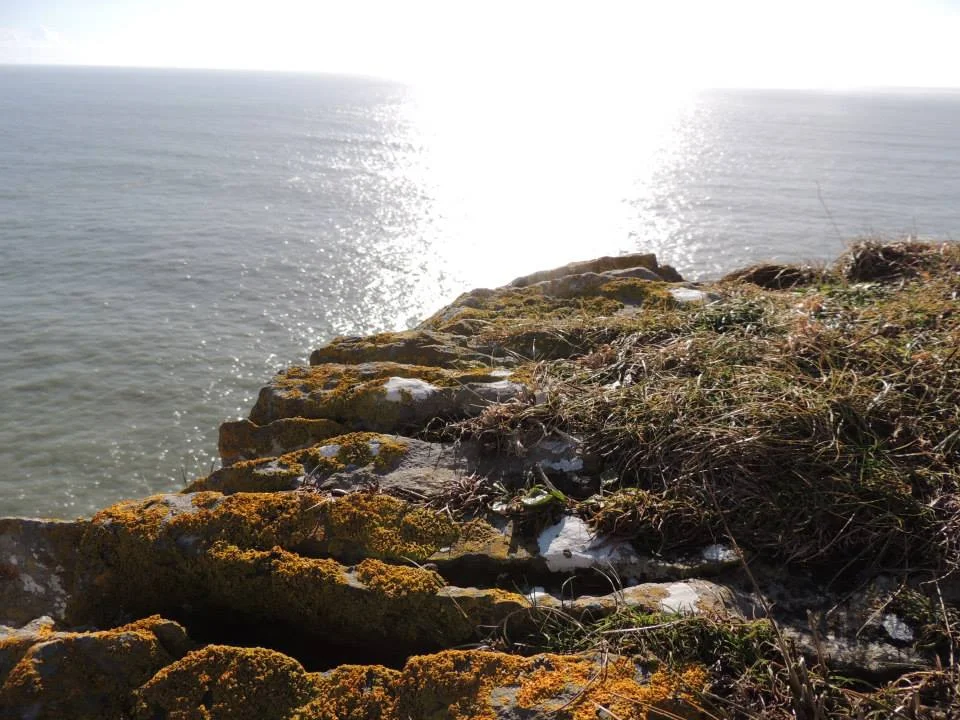 Pembrokeshire Coast